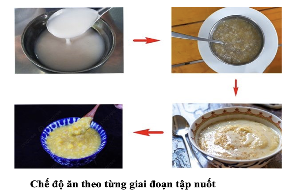 Chế độ ăn theo từng giai đoạn tập nuốt